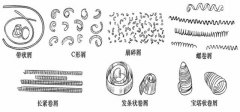 數(shù)控加工中心的切屑能反應哪些加工情況？